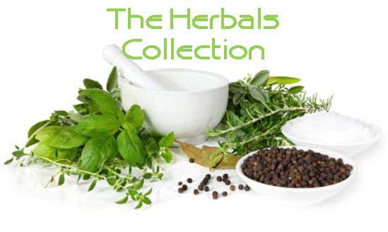 Herbal Infused Luxury Body Oil